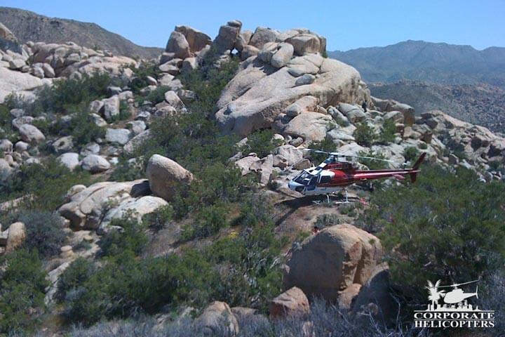 Helicopter survey
