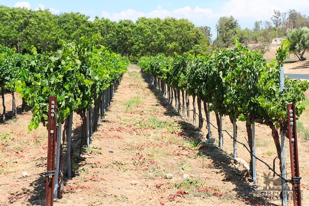 A helicopter tour of San Diego and flight to Thornton Winery in Temecula from Corporate Helicopters of San Diego.